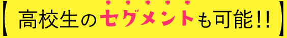 高校生のセグメントも可能！！